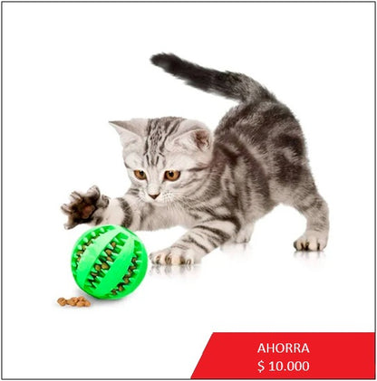 Pelota portasnack limpia sarro juguete para masticar - TCC0005