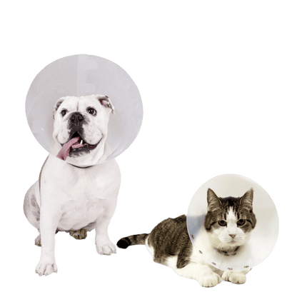 Collar Isabelino de Plástico para Perros y Gatos x 5 unidades - TCC0021