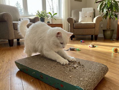 Rascador de carton para gato  afilador de uñas (ZAZU) - TCC0018