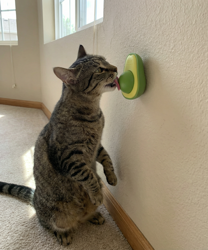 Juguete con Catnip Aguacate para Gatos – Adhesivo de Pared  x 3 Unidades- TCC0009