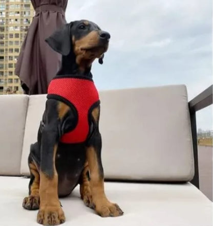 Pechera para perro - TCC0003